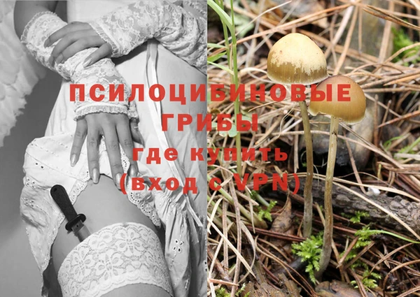 стафф Красноперекопск