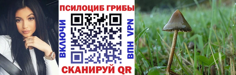 Галлюциногенные грибы прущие грибы Киров