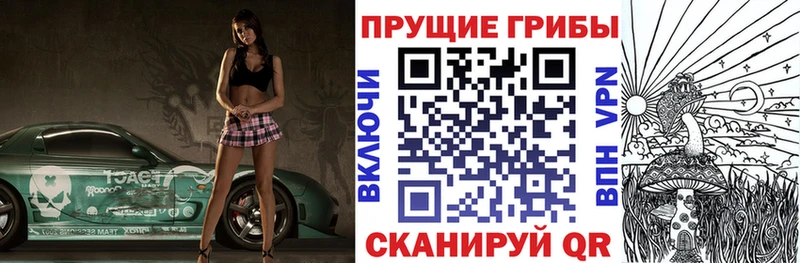 Галлюциногенные грибы Psilocybine cubensis  наркота  Киров 